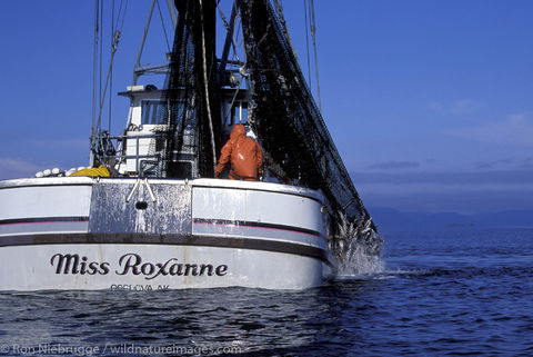 AK, Ak., Alaska, America, American, Americas, Miss Roxanne, Niebrugge, North, North American, Ocean, PWS, Pacific Ocean, Prince...