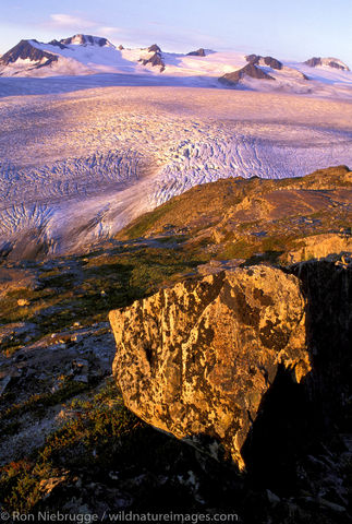 Sunrise Harding Icefield