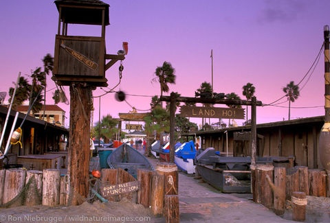 Newport Dory Fleet