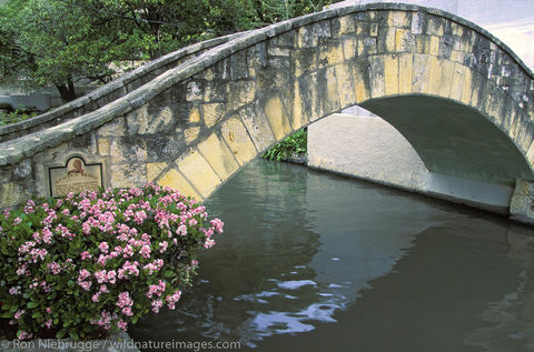 Americas, North America, North American, Riverwalk, Riverwalks, Ron Niebrugge, Rosita Fernandez, Rosita's Bridge, San Antonio...