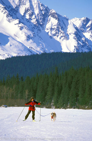 AK, Alaska, Americas, Bear Lake, Chugach National Forest, MR, Model release, National, North America, North American, Ron Niebrugge...