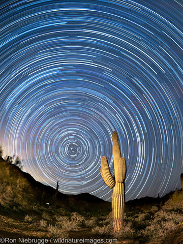 Star Trails