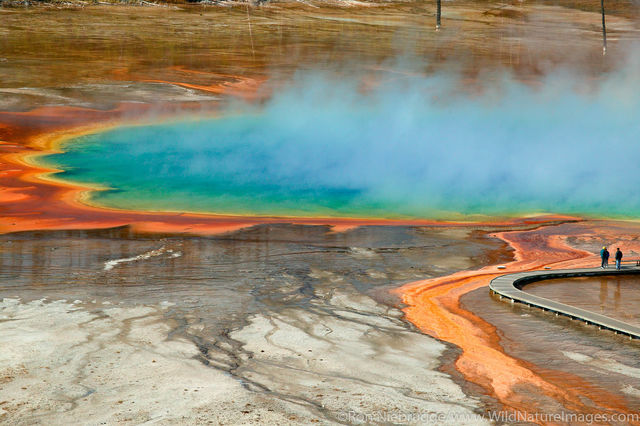 Grand Prismatic Spring