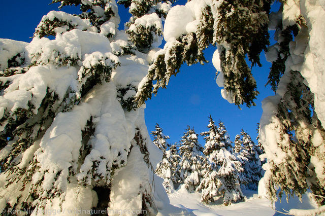 Turnagain Pass
