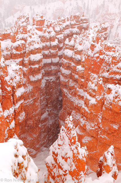 Bryce National Park