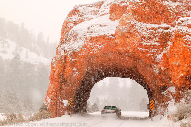 Dixie National Forest