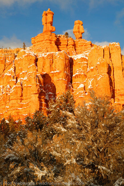 Dixie National Forest