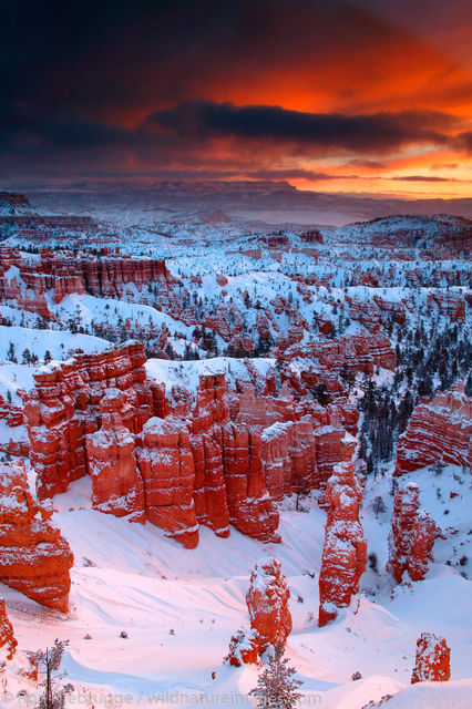 Bryce National Park