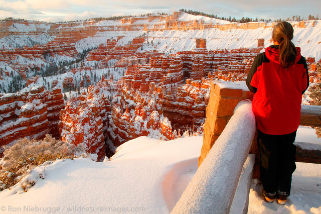 Bryce National Park