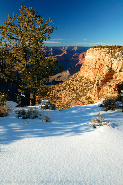 Grand Canyon with snow.