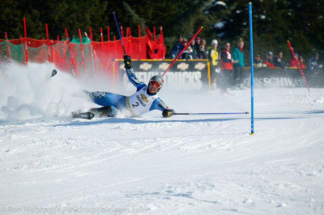 Downhill Skier