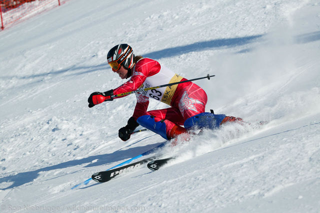 Downhill Skier