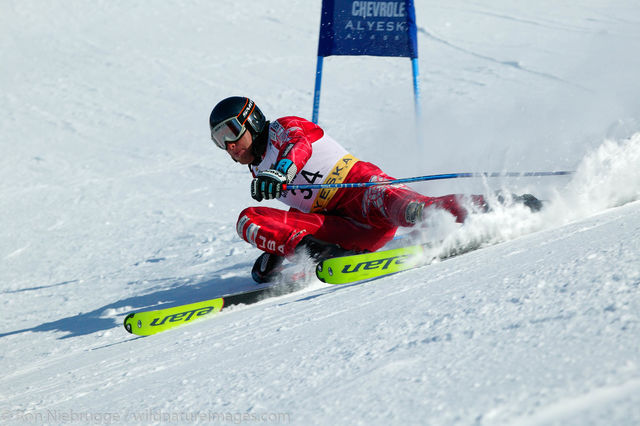 Downhill Skier