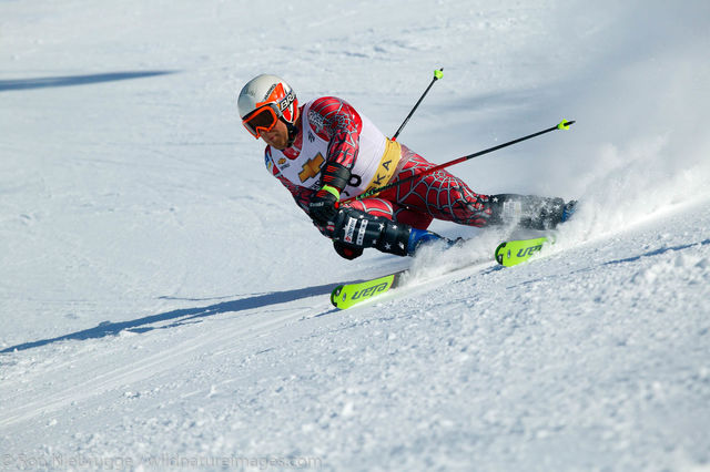 Downhill Skier