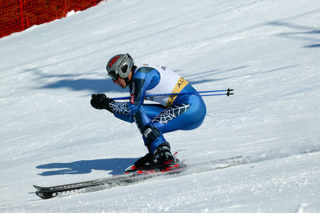 Downhill Skier