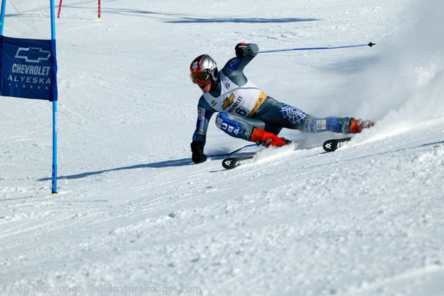 Downhill Skier