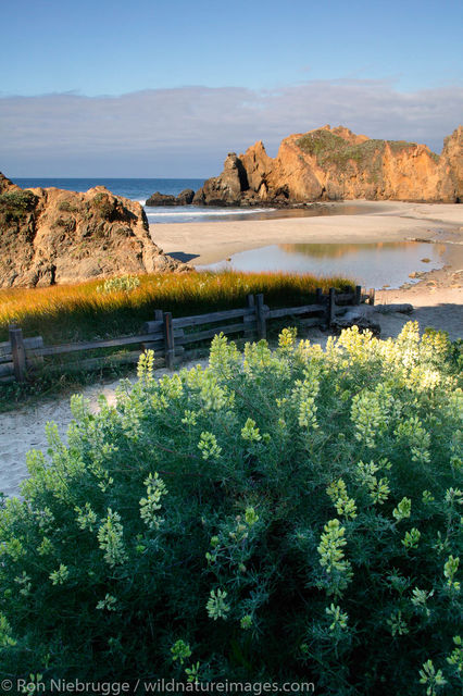 Pfeiffer Beach