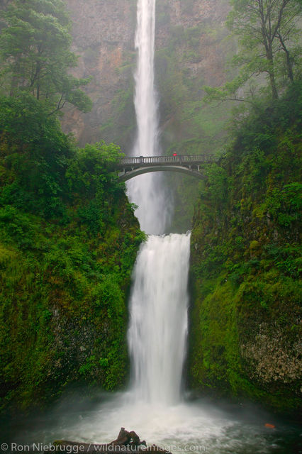 Multnomah Falls 