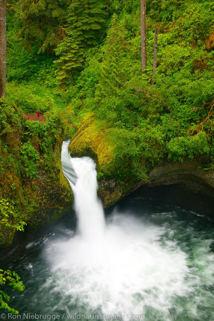 Punch Bowl Falls 