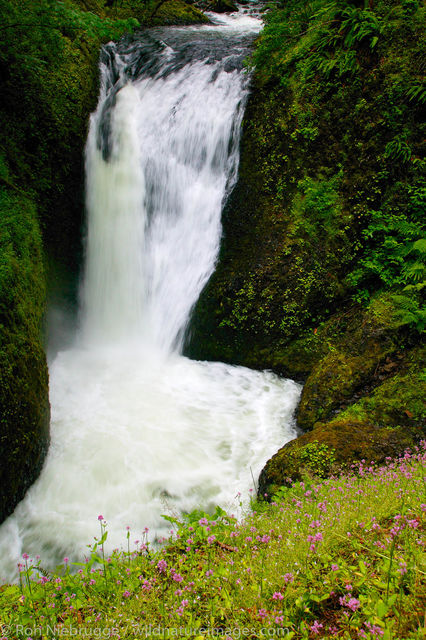 Horsetail Falls 