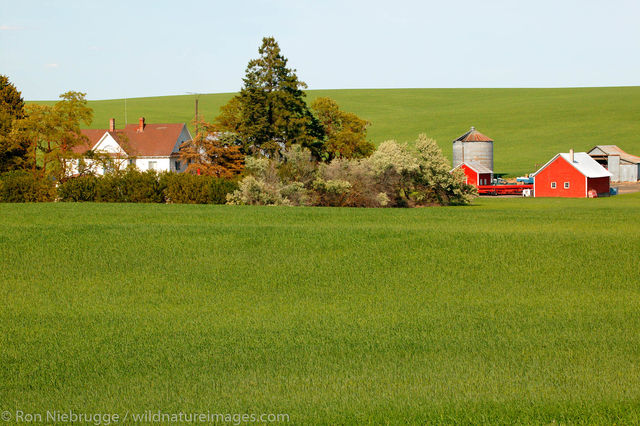 Farm