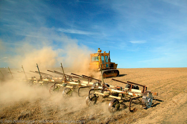 Farmers