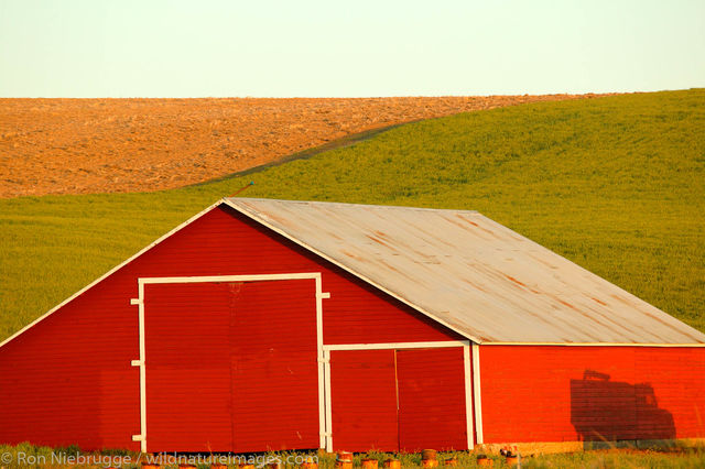 Farm in Eastern Wahington