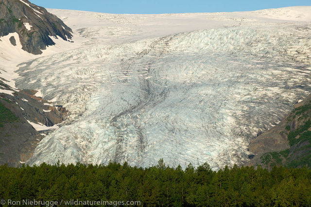 Exit Glacier