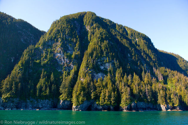 Prince William Sound