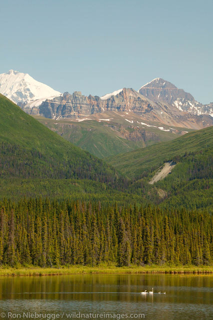 Wrangell Saint Elias
