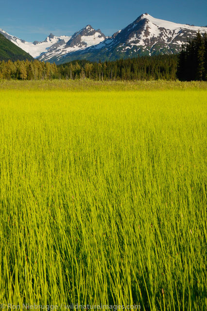 Chugach National Forest