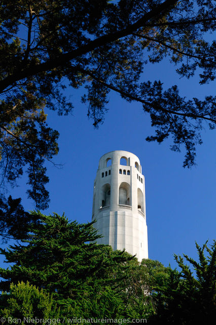 Colt Tower
