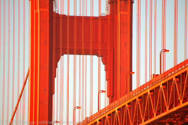 Golden Gate Bridge