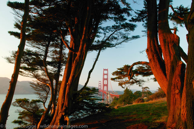 Golden Gate Bridge, San Francisco