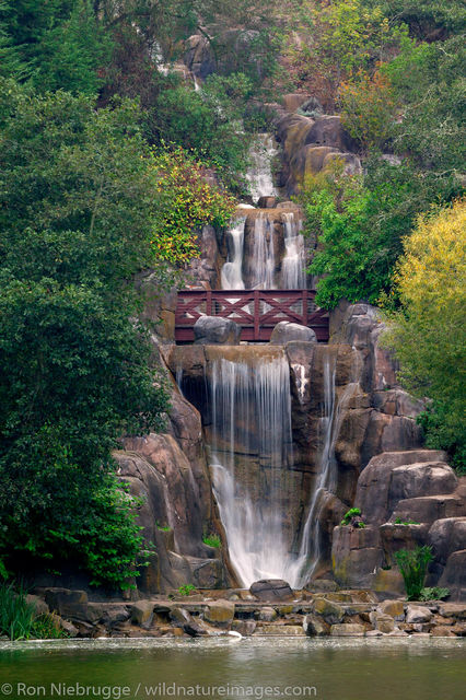 Japanese Tea Garden