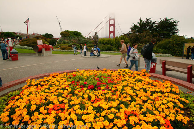 Golden Gate Bridge