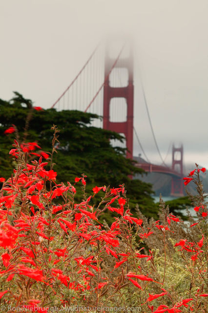 Golden Gate Bridge