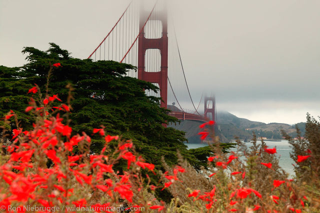 Golden Gate Bridge