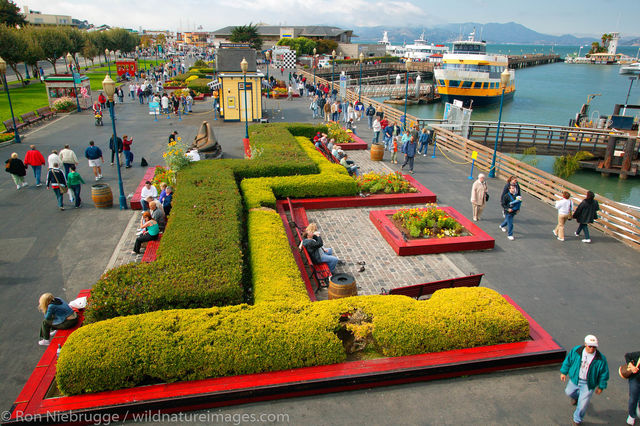 Pier 39 and Fisherman's Wharf