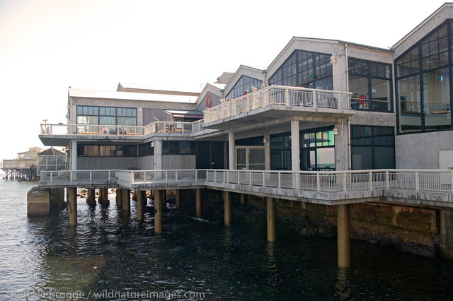 Monterey Bay Aquarium