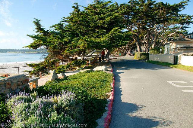 Carmel By The Sea, California