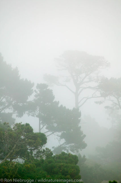 Monterey Peninsula, California
