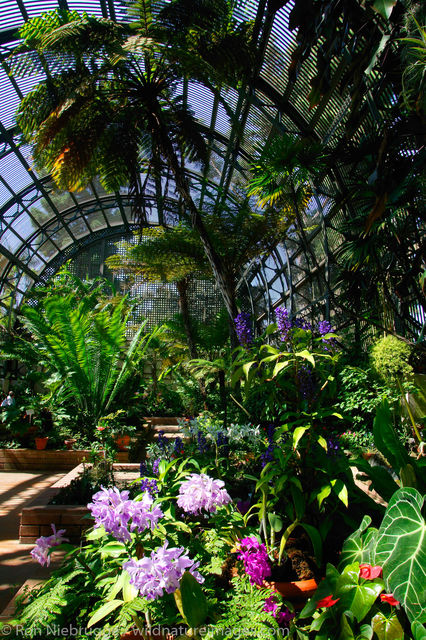 Balboa Park, San Diego