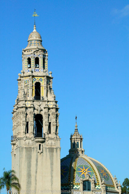California Tower 