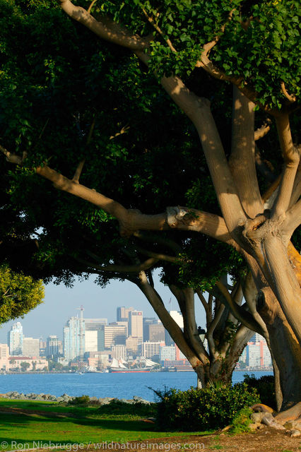 San Diego Skyline, California