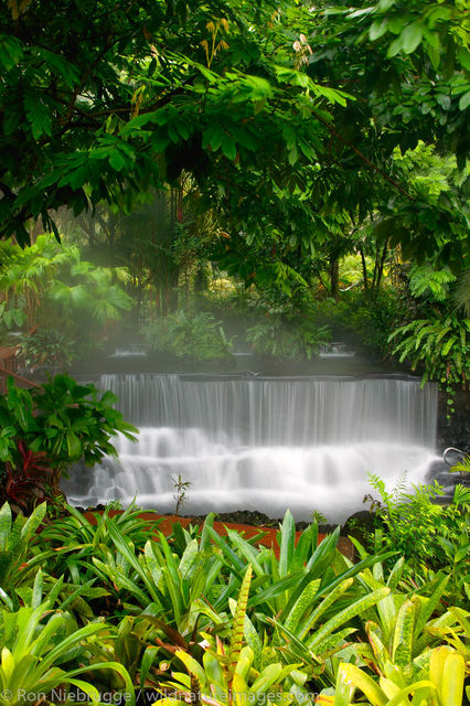 Tabacon Hot Spring Resort