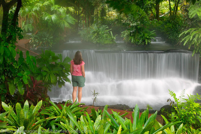 Tabacon Hot Spring Resort , Costa Rica