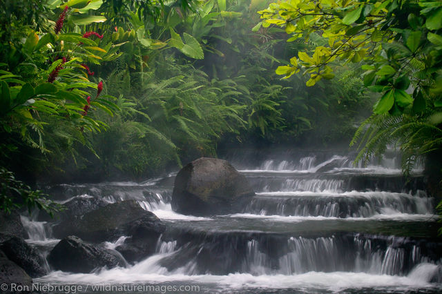 Tabacon Hot Spring Resort 