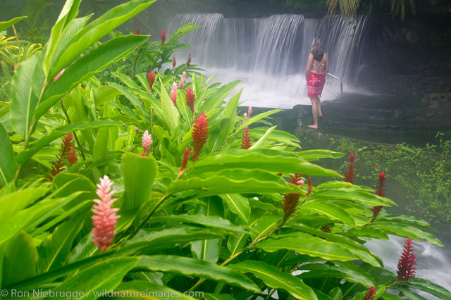 Tabacon Hot Spring Resort , Costa Rica