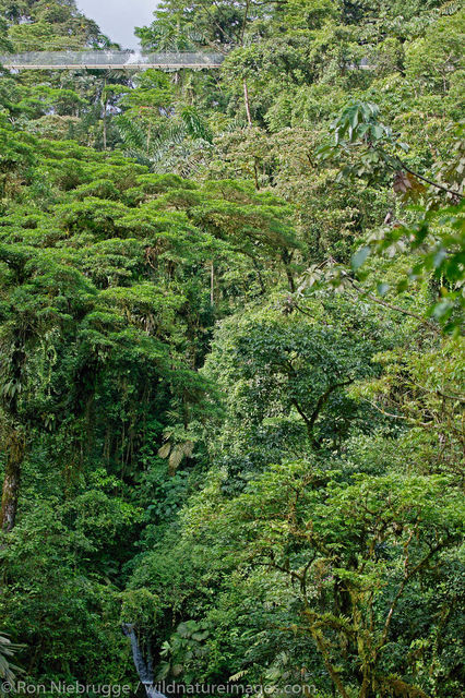 Arenal Hanging Bridges 